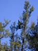DSCN0035.JPG